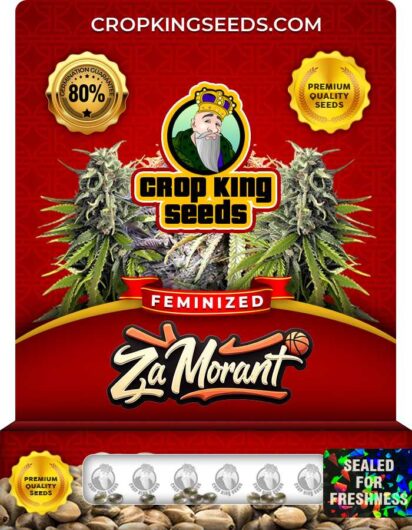 Za Morant Feminized