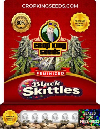 Black Skittles Strain