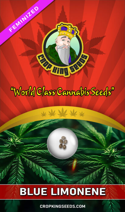 Blue Limonene Feminized