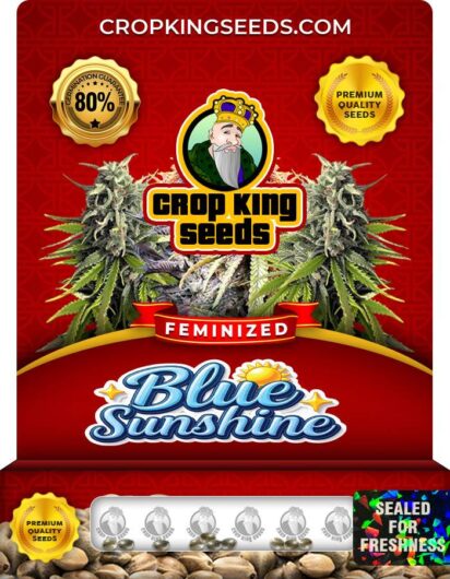 Blue Sunshine Strain