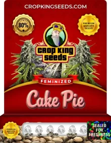 Cake Pie Strain