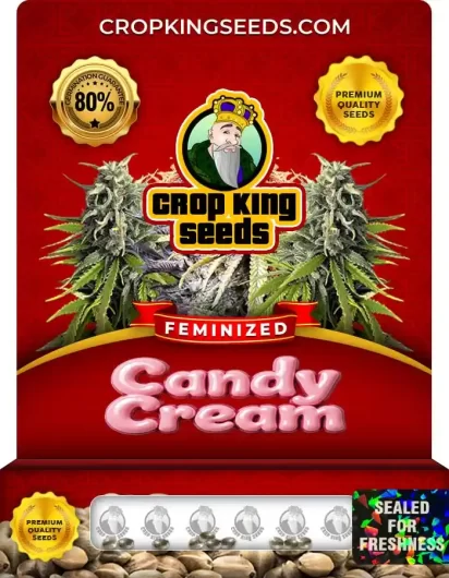Candy Cream Strain
