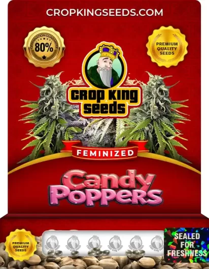 Candy Poppers Strain