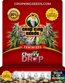 Cherry Drop Strain