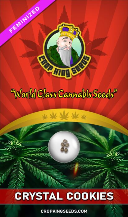 Crystal Cookies Feminized