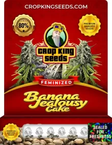 Banana Jealousy Cake Strain