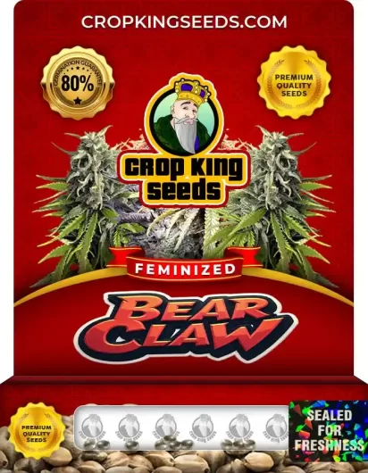 Bear Claw Strain