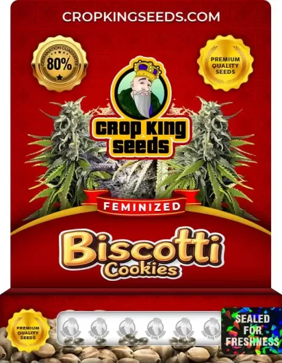 Biscotti Cookies Strain