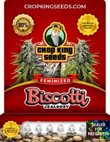 Biscotti Jealousy Strain
