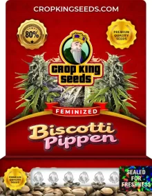 Biscotti Pippen Strain