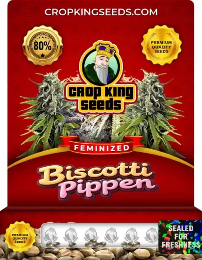 Biscotti Pippen Strain