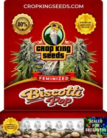 Biscotti Pop Strain