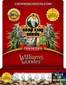 Williams Wonder Strain
