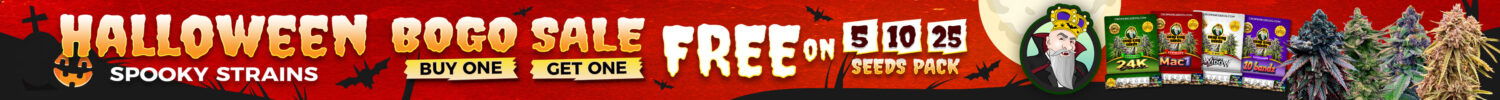 Halloween Sale single-DESKTOP