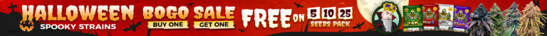 Halloween Sale single-DESKTOP