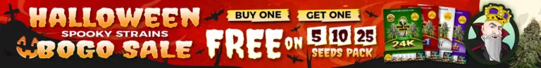 Halloween Sale single-MOBILE