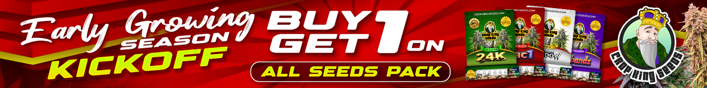 Promo Banner