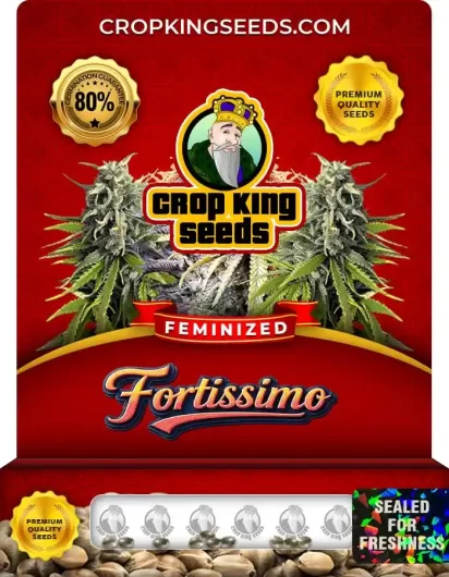 Fortissimo Feminized