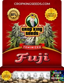 Fuji Feminized