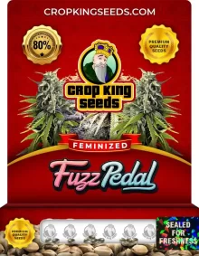 Fuzz Pedal Feminized