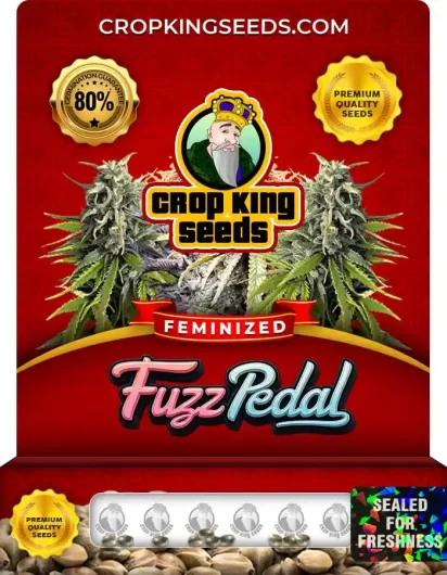 Fuzz Pedal Feminized