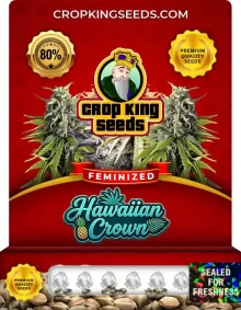 Hawaiian Crown Feminized