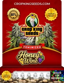 Honeywine Feminized