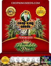 Humble Pie Feminized