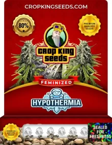 Hypothermia Feminized