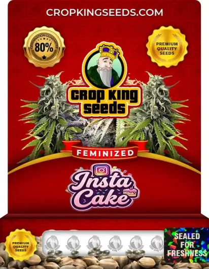 Insta Cake Feminized