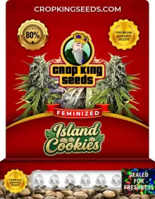 Island Cookies Feminized