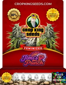 Jimi’s Punch Feminized