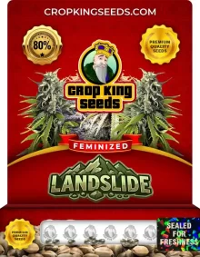 Landslide Feminized
