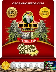 Lemon Butter Feminized Seeds