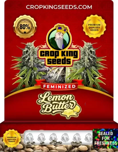 Lemon Butter Feminized