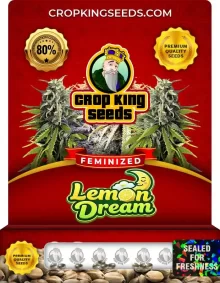 Lemon Dream Feminized