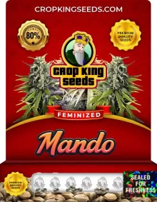 Mando Feminized