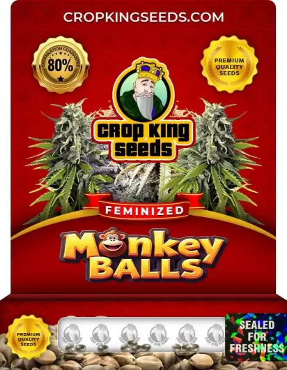 Monkey Balls Feminized