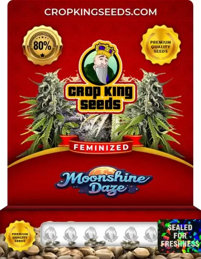Moonshine Daze Feminized