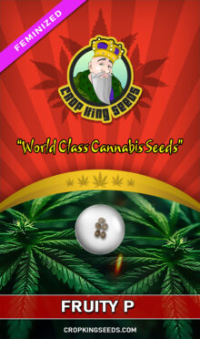 Fruity P Feminized