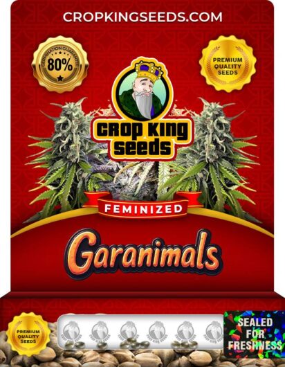 Garanimals Strain