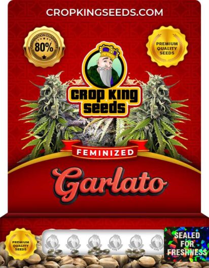 Garlato Strain