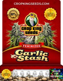 Garlic Stash Strain