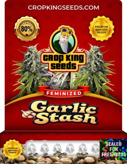Garlic Stash Strain