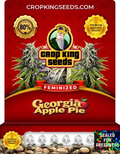 Georgia Apple Pie Strain