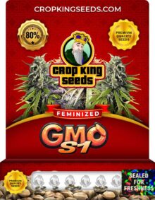 GMO S1 Strain