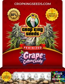 Grape Cotton Candy Strain