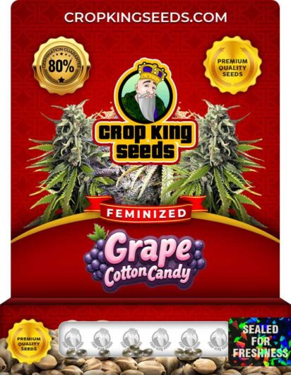 Grape Cotton Candy Strain