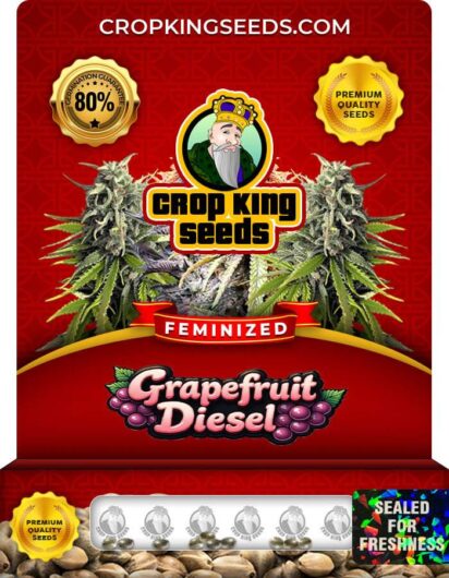 Grapefruit Diesel Strain