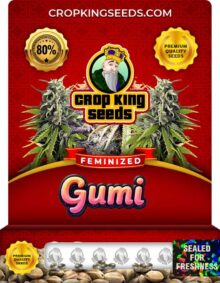 Gumi Strain